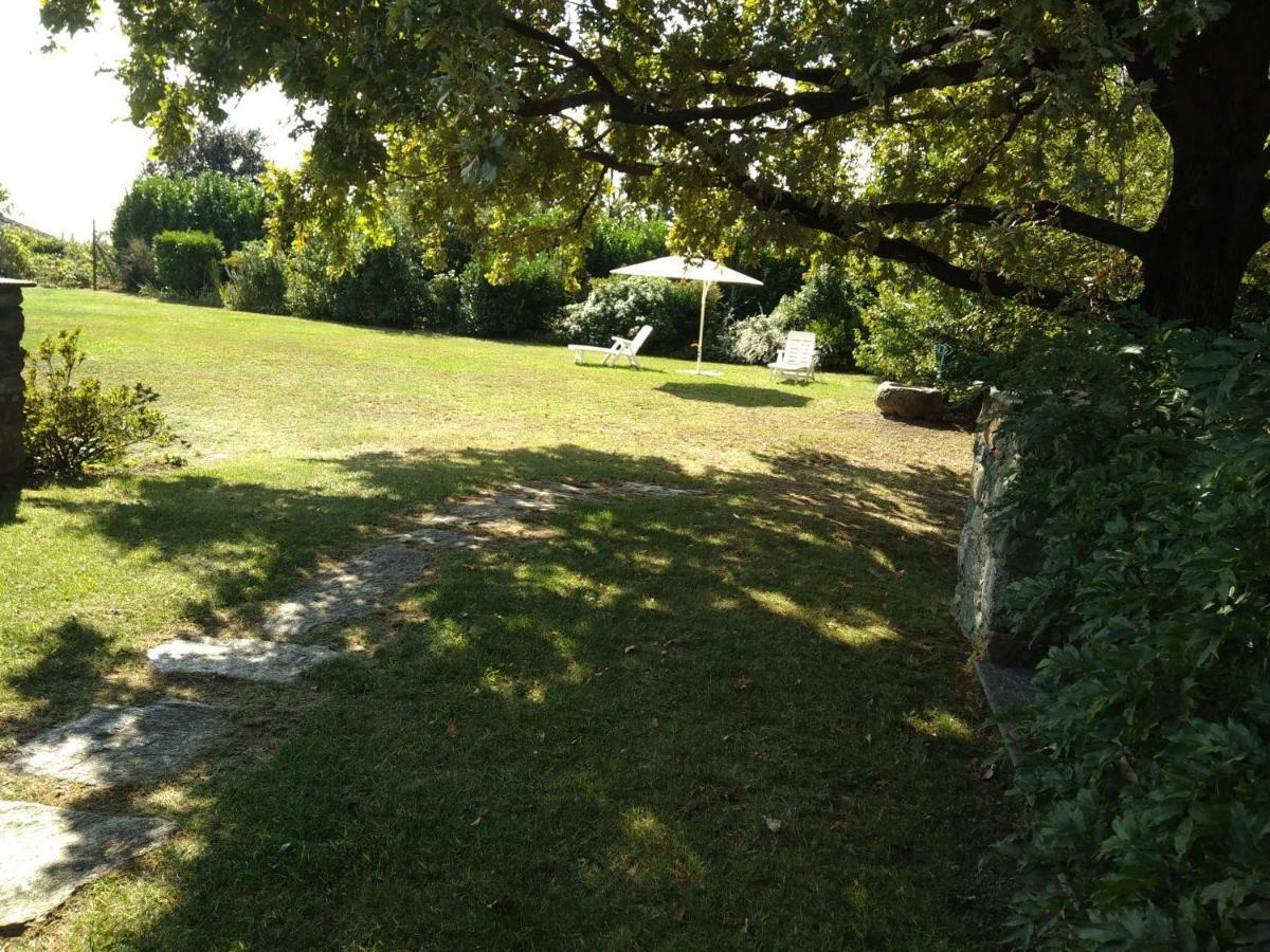 Il Glicine Bed & Breakfast Zimone Exterior foto