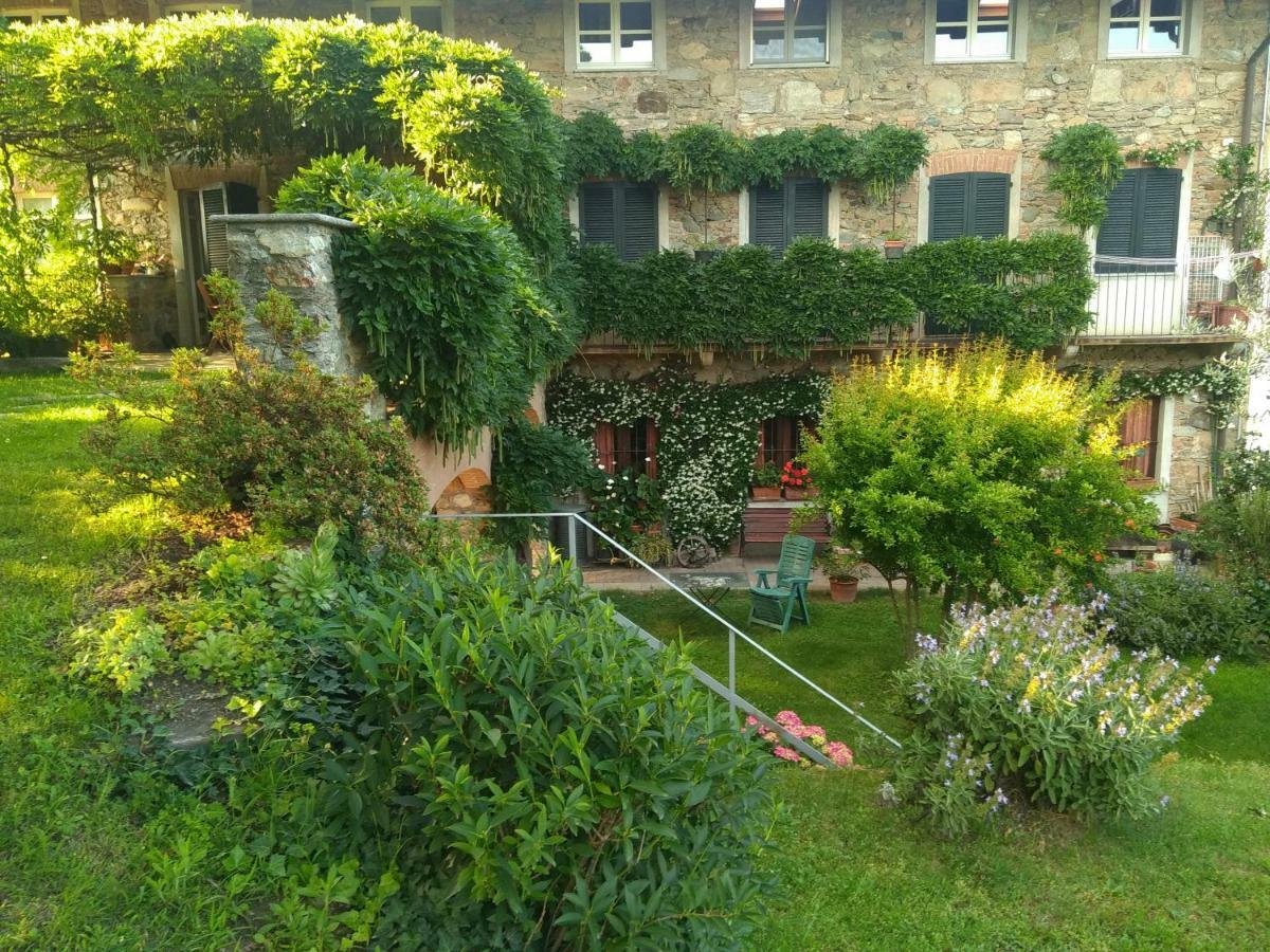 Il Glicine Bed & Breakfast Zimone Exterior foto